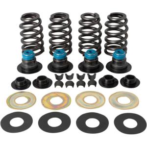 S&S CYCLE エスアンドエス サイクル Valve Spring Kit［0926-2723］｜webike