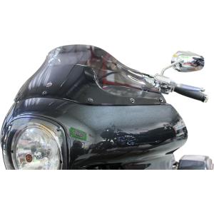 Puig（プーチ） Puig 7616F RACING-SCREEN [DARK SMOKE] BMW R1200RS