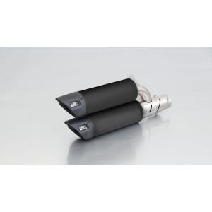 TKRJ ティーケーアールジェイ ピストンキット サイズ：0.25mm TDR250