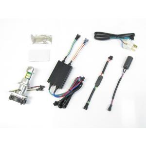 PROTEC プロテック LB-HS1 LEDヘッドライトバルブ ディオ110 リード125 Dトラ...