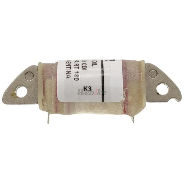 RICK’S MOTORSPORT ELECTRIC リックズモータースポーツエレクトリック チャー...