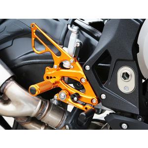 PLEASURE プレジャー ヘッドライトルーバー ZZR1100(D) KAWASAKI