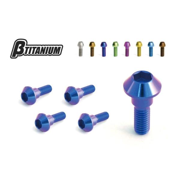 βTITANIUM ベータチタニウム リアブレーキ ディスクローター チタンボルトキット カラー：ア...