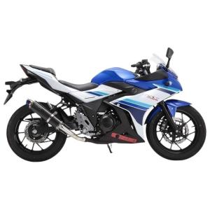 WR'sマフラー gsx250r用 WR'S WR'S ダブルアールズ リアエキゾースト スリップオン