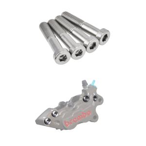 ZETA ジータ ブレーキキャリパーブリッジボルトセット