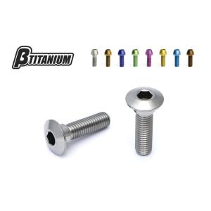 βTITANIUM ベータチタニウム ディスクロ...の商品画像