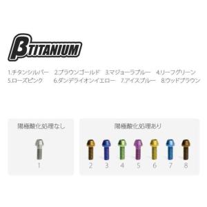 βTITANIUM ベータチタニウム ディスク...の詳細画像2