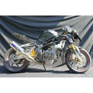 月木レーシング ツキギレーシング TRエキゾーストシステム ステンレス