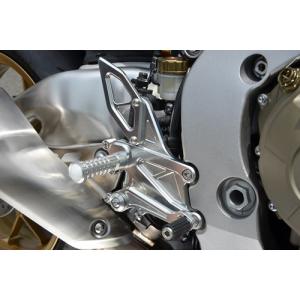 AKRAPOVIC（アクラポビッチ） 【補修・オプションパーツ】サイレンサー