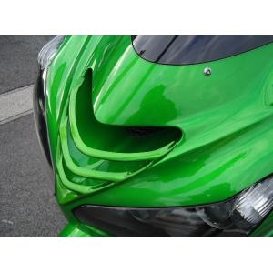 PLEASURE プレジャー ダクトルーバー カラー：パールスターダストホワイト塗装 Ninja Z...