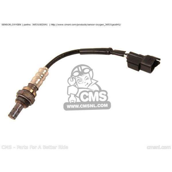 CMS シーエムエス SENSOR，OXYGEN NPS50 ZOOMER (5) EUROPEAN...