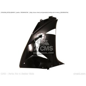 CMS シーエムエス COWLING，CNT，RH，EBONY ZX1000D6F NINJA ZX...