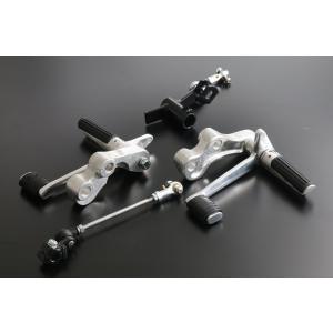 カワサキ（Kawasaki） ZX-10R 16-20 バックステップ【LIGHTECH