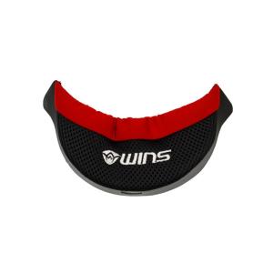 WINS ウインズ A-FORCE RS [エイ・フォース アールエス]・A-FORCE JET ア...