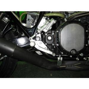 BLUE THUNDERS ブルーサンダース HEADLIGHT STAY (ヘッドライトステイ