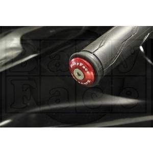 タクト PLEASURE（プレジャー） ダクトルーバー カラー：ゴールデンブレイズド