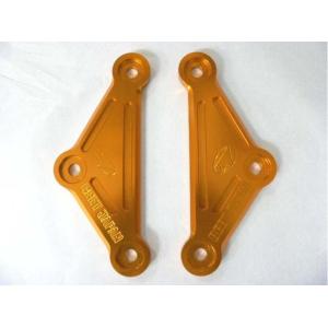 BEET ビート サスペンションプレート カラー：グレー Z900RS KAWASAKI カワサキ ...