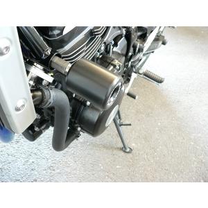 BEET ビート マシンプロテクター タイプ：ロング Z900RS