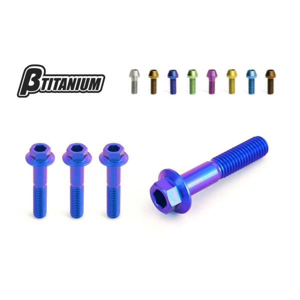 βTITANIUM ベータチタニウム ステアリングステムアンダーチタンボルトキット カラー：ウッドブ...