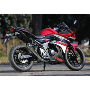 WR’S スリップオンマフラー　ステンレス／ラウンド GSX250R WR'S SUZUKI GSX250R SLIP-ON ラウンドステンレスサイレンサー