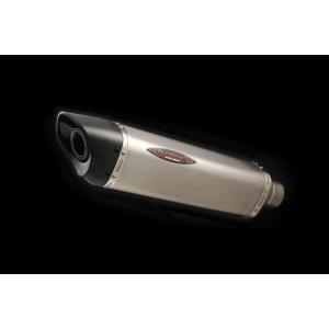 ストライカー　カーボンサイレンサー50.8 セミレーシング STRIKER ストライカー インターモデルOFF-Type汎用レーシング