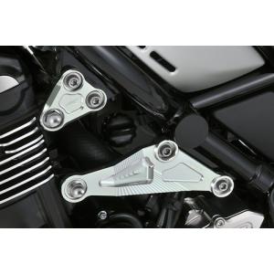 BLUE POINT（ブルーポイント） 燃料コックプレート TZR250 YAMAHA