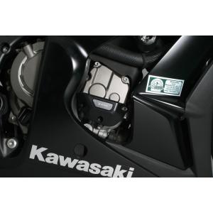 Tekmo Racing テクモレーシング カーボンエキゾーストヘッドパイプ