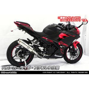 Ninja400（ニンジャ）18年 ラウンドタイプスリップオンマフラー
