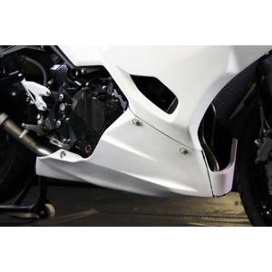 EIGHT(才谷屋) エイト(サイタニヤ) フルカウル ニンジャ250 KAWASAKI