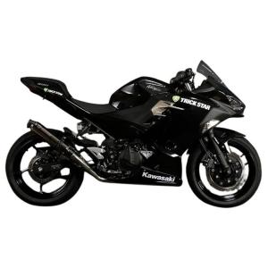 Ninja250 Ninja250R ニンジャ250 Z250 専用 純正エキパイ用 スリップ
