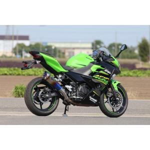 AKRAPOVIC（アクラポビッチ） スリップオンライン (チタン) マフラー