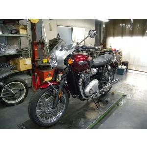 WM ダブルエム アロイビキニカウルキット ス...の詳細画像1