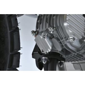 ビッグフィンカムカバータイプ2 Gクラフト（G-CRAFT） モンキー