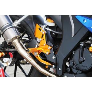 babyface（ベビーフェイス） セットバックプレート GSX-R125 SUZUKI