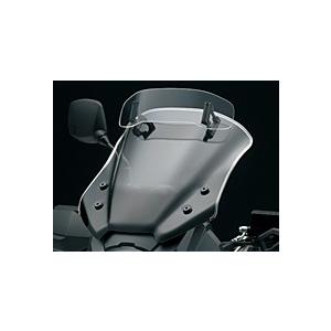 NITRO RACING（ナイトロレーシング） レーシングスクリーン カラー