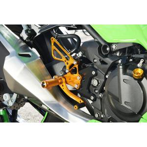 BMW BMW S1000RR 19-21 バックステップ 【LIGHTECH】（ライテック