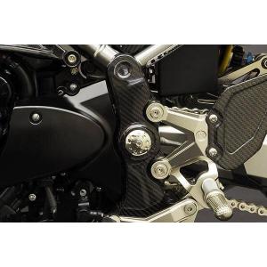 カワサキ Z900RS LEDヘッドライト EVO-S コンバージョンキット