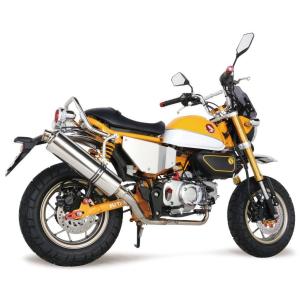 スペシャルパーツ武川 SP武川 SPタケガワ スポーツマフラー(ノーマル