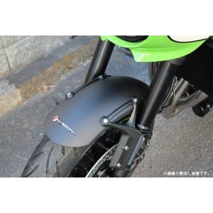 Z900RS メッキフロントフェンダー : ドレミコレクションヤフーショップ