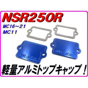 PLEASURE プレジャー ヘッドライトルーバー ZZR1100(D) KAWASAKI