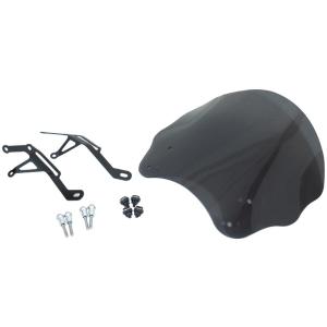 新品 Puig(プーチ) スポーツスクリーン クリア CB125R CB250R Puig プーチ ニュージェネレーションNKスクリーン(SPORT) カラー