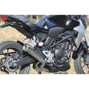 AKRAPOVIC（アクラポビッチ） スリップオンライン CB250R CB300R HONDA
