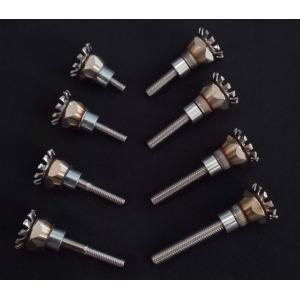 NGC-JAPAN エヌジーシージャパン インシュレーターバンドボルト ZRX400II RZからT...