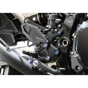 STRIKER ストライカー ステップキットオプション ワイドヒールガード タイプ：LRセット / ...