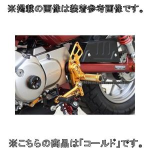 スペシャルパーツ武川 SP武川 SPタケガワ バックステップキット (4