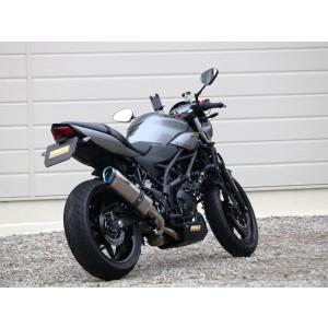 WR’S ダブルアールズ SS-OVALタイプ スリップオンマフラー サイレンサーカラー：ソリッドタイプ SV650 SV650X SUZUKI スズキ SUZUKI スズキ