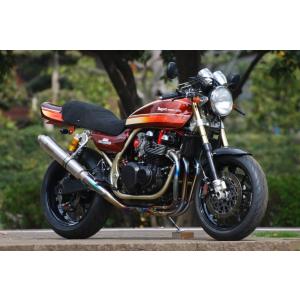 BEAMS ビームス セロー250/Fi DG17J SS300ソニック ビームスからセロー
