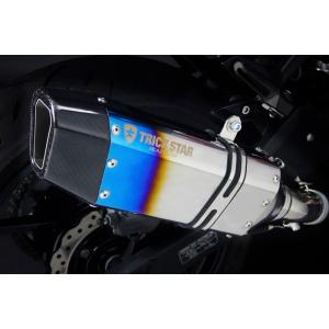 BEET（ビート） ZX-10R(21) 8BL-ZXT02L ナサート Evolution TypeII