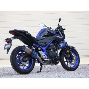 AKRAPOVIC YZF-R25/R3 用 レーシングラインステンレス S-Y2R1