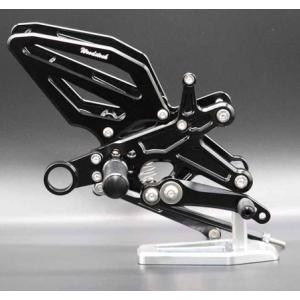 TEASER FFS07G FRONT FENDER 【DRY CARBON HG】 SUZUKI GSX-S1000 (15